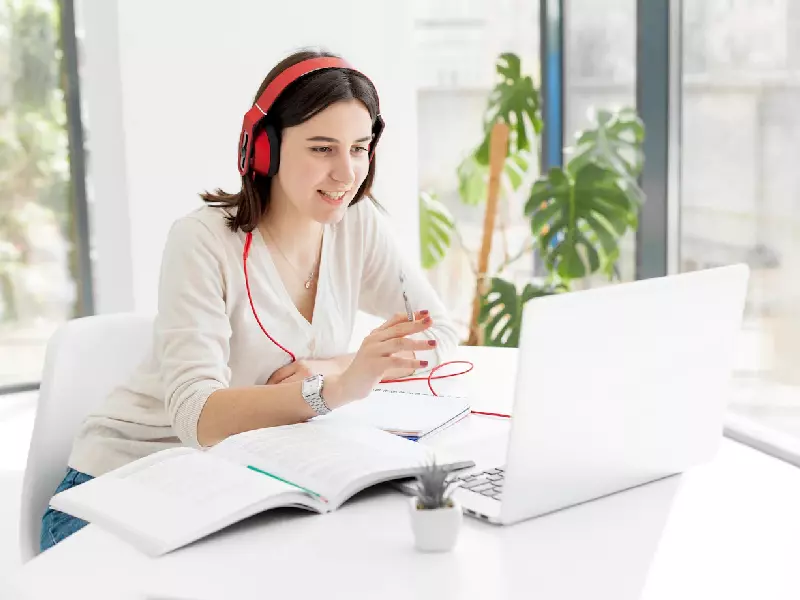 hosteslik online ingilizce sinavi