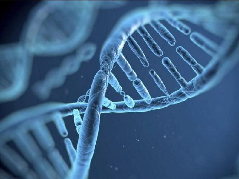 tyt biyoloji konu anlatimli