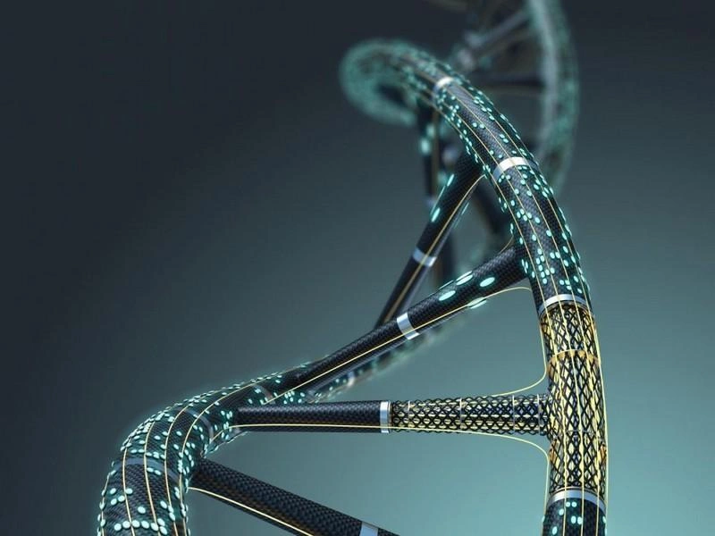 10. sinif biyoloji 2. donem 1. yazili 