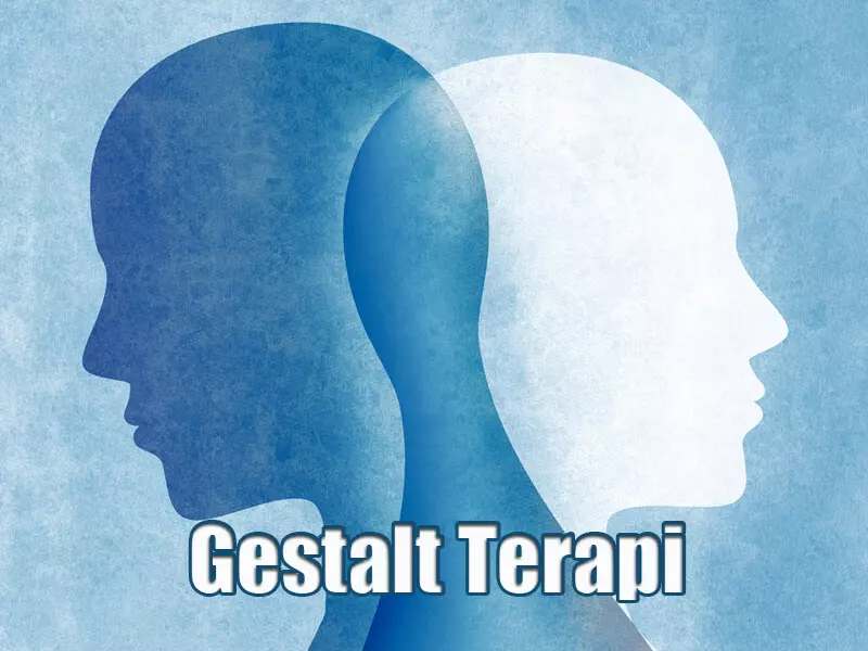 gestalt-psikolojisi