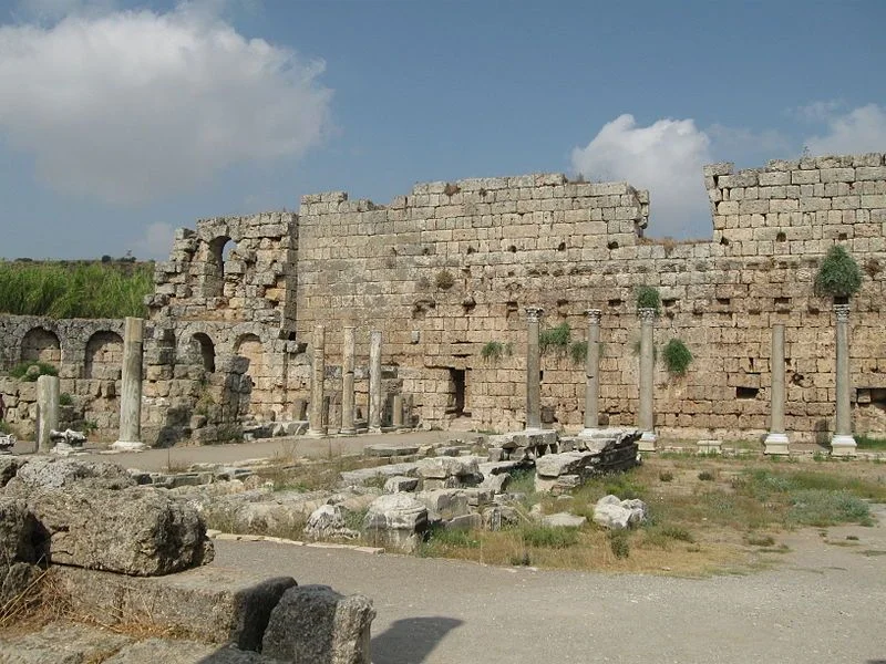 sosyal bilgiler 6. sinif 1.donem 2. yazili 