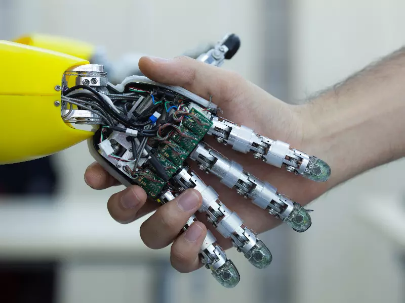 robotik kodlama kursu 