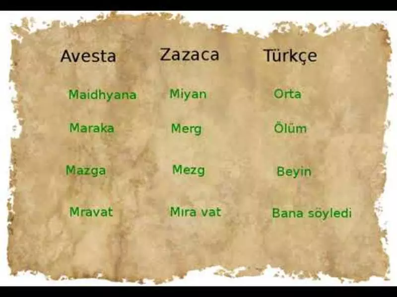 zazaca ceviri 