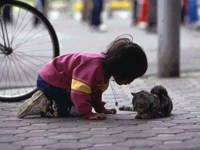 din kültürü ve ahlak bilgisi nedir