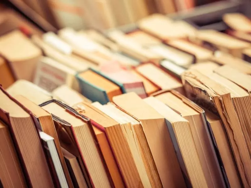 acik-lise-edebiyat-7-sinif-cikmis-sorular