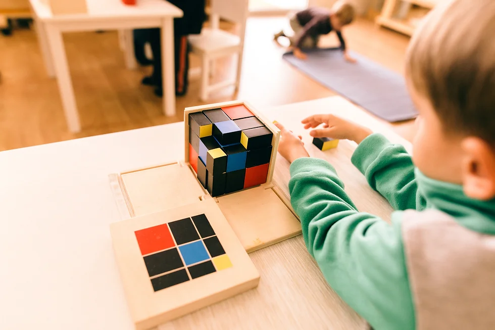 montessori-uygulamalari