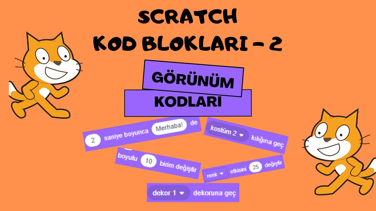 scratch-blok-kadlama-egitimi