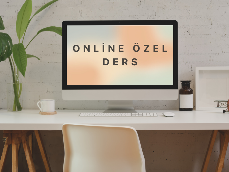 online ozel ders ucretleri