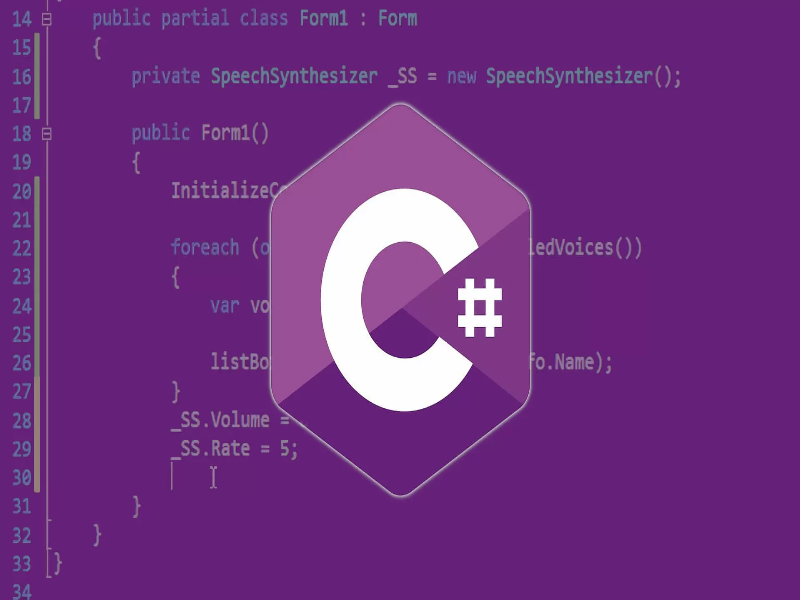 c# ozel dersler
