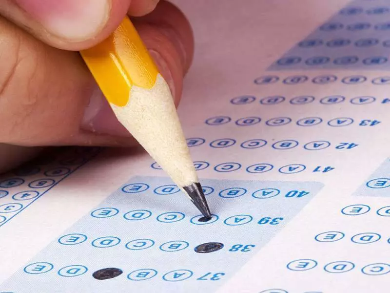 8 sinif matematik sorulari