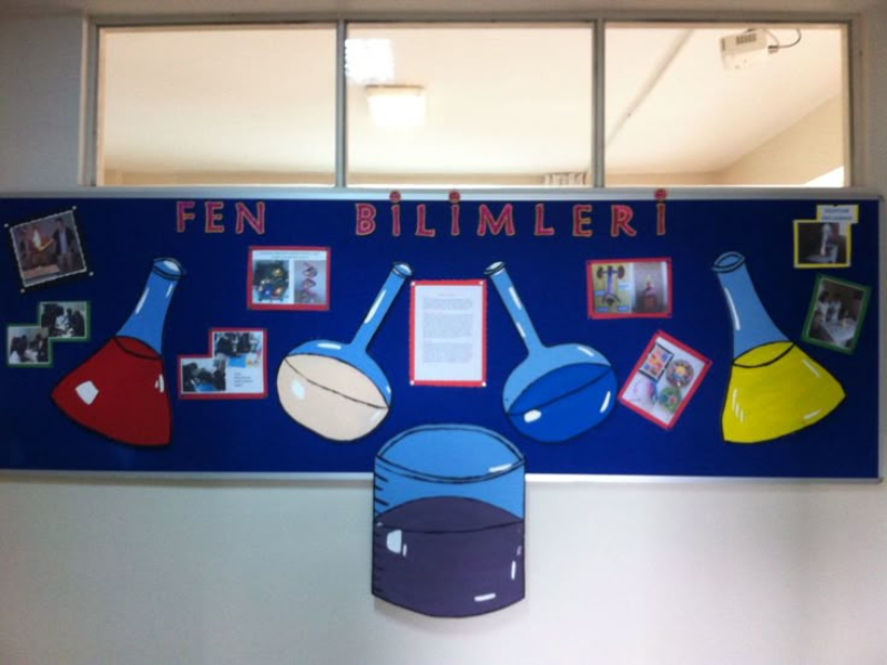 6 sinif 2 donem 1 yazili fen bilimleri
