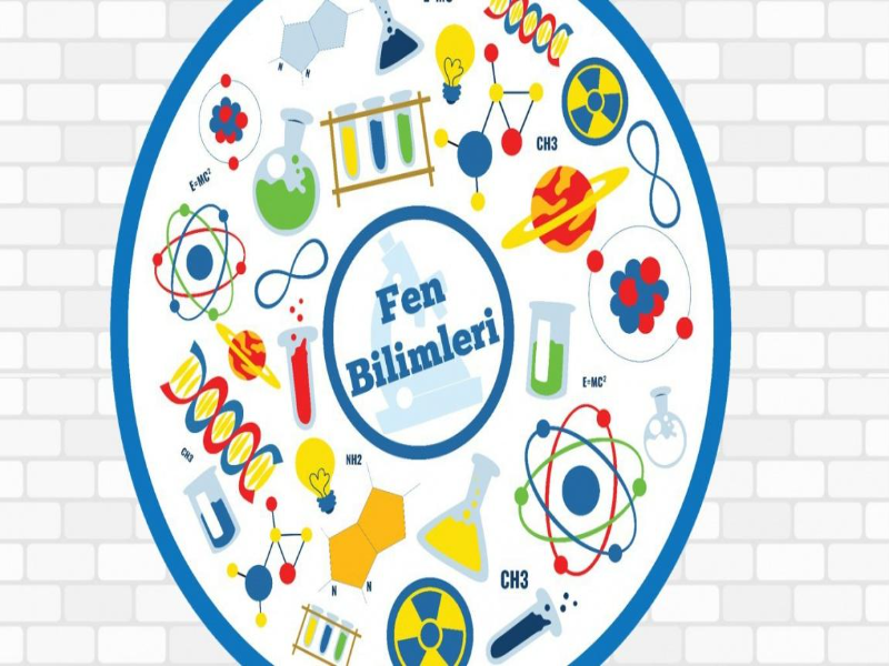 5 sinif 2 donem 1 yazili fen bilimleri