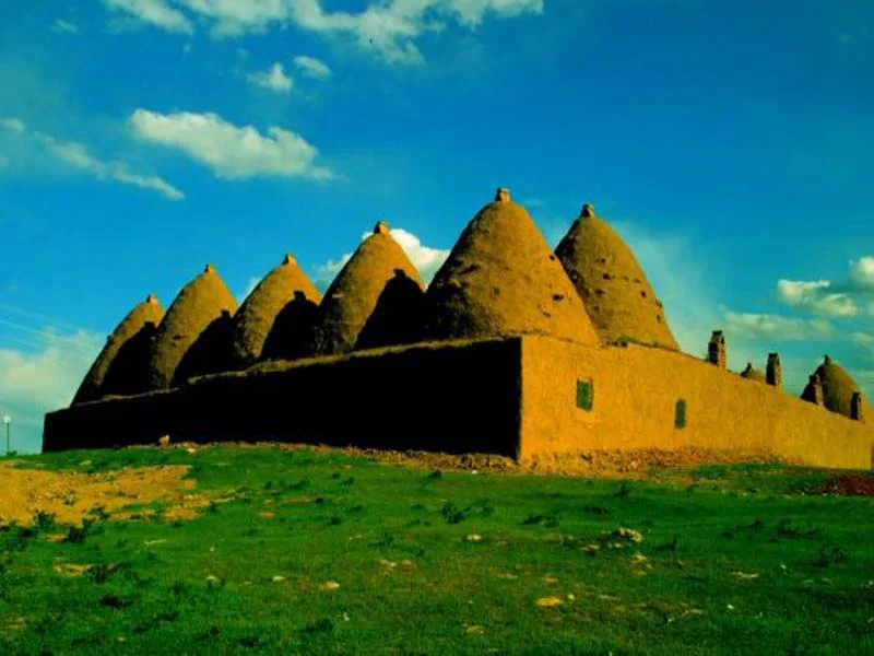 6 sinif 2 donem 1 yazili sosyal bilgiler