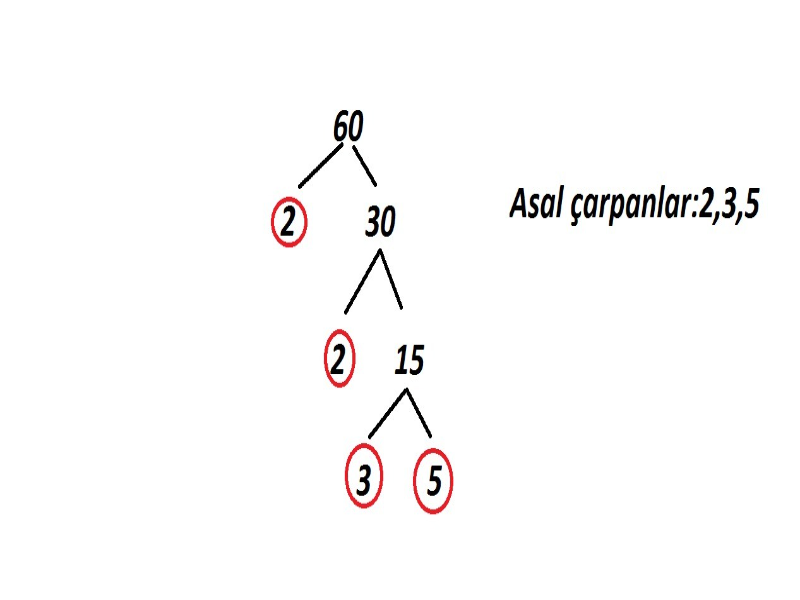 asal-carpanlara-ayirma