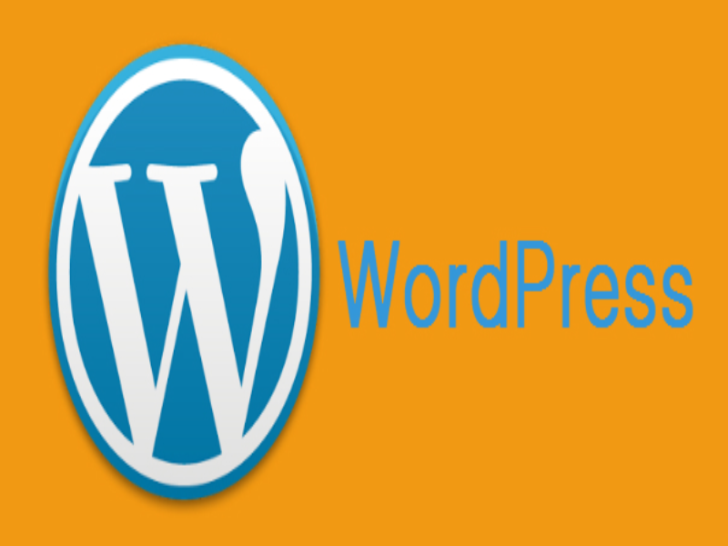 WordPress Özel Ders