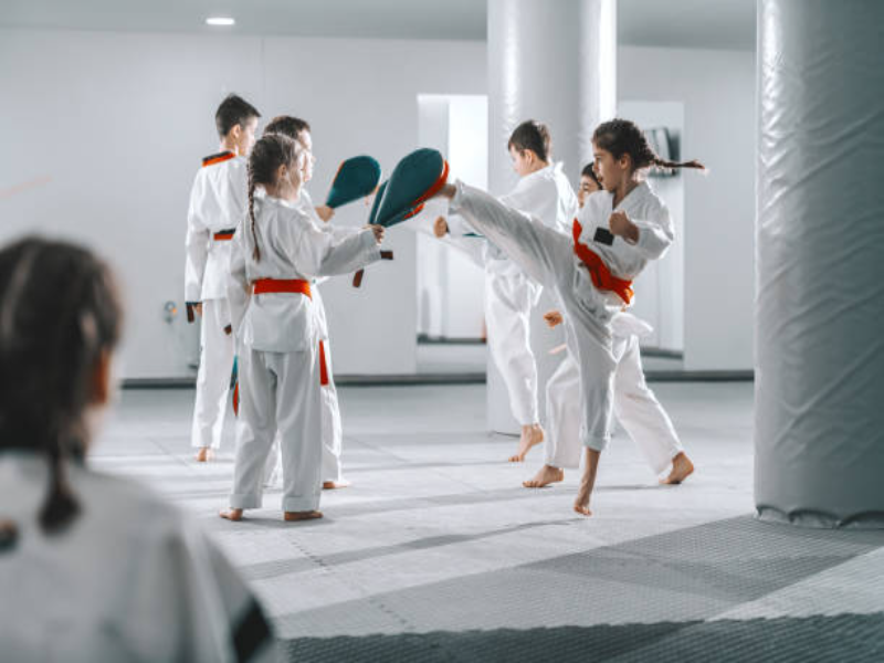 Taekwondo Özel Dersleri